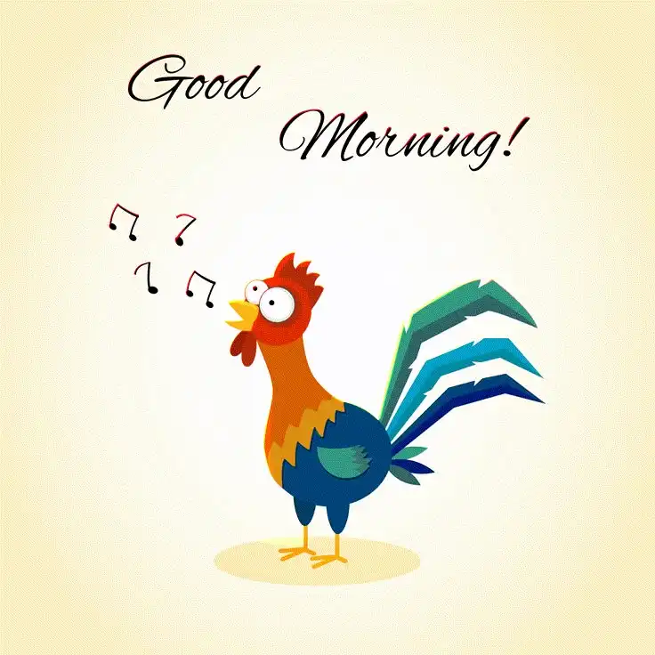 good morning hd images